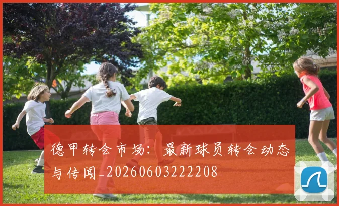 德甲转会市场:最新球员转会动态与传闻_20260603222208